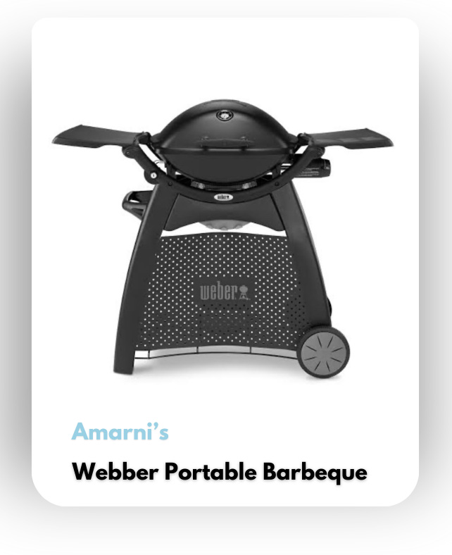 Webber Portable Barbeque