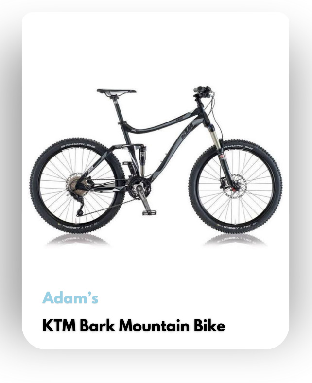 KTM Bark Mountain Bike